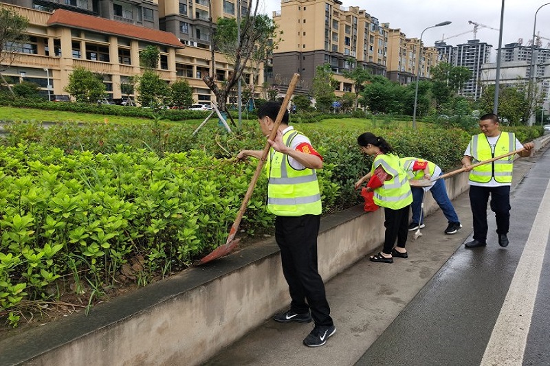 1629687191872481.jpg lADPDhJzxRP5gmvNCrDNDkA_3648_2736.jpg_720x720q90g.jpg